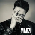 MARZI